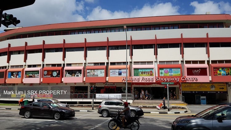 Holland Road Shopping Centre (D10), Retail #194763102